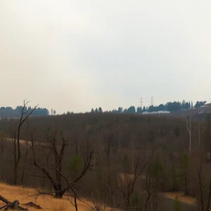 Devastated landscape in California due to wildfires.
