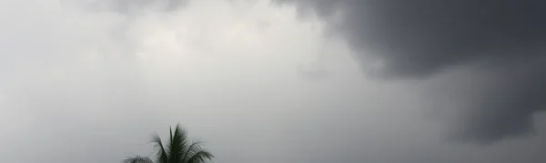 Rain Showers and Wind Expected as Flood Warning Hits Orange County
