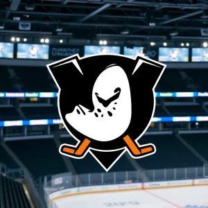 Anaheim Ducks hockey rink with empty stands