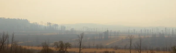 California Wildfires Challenge Residents and Insurance Markets