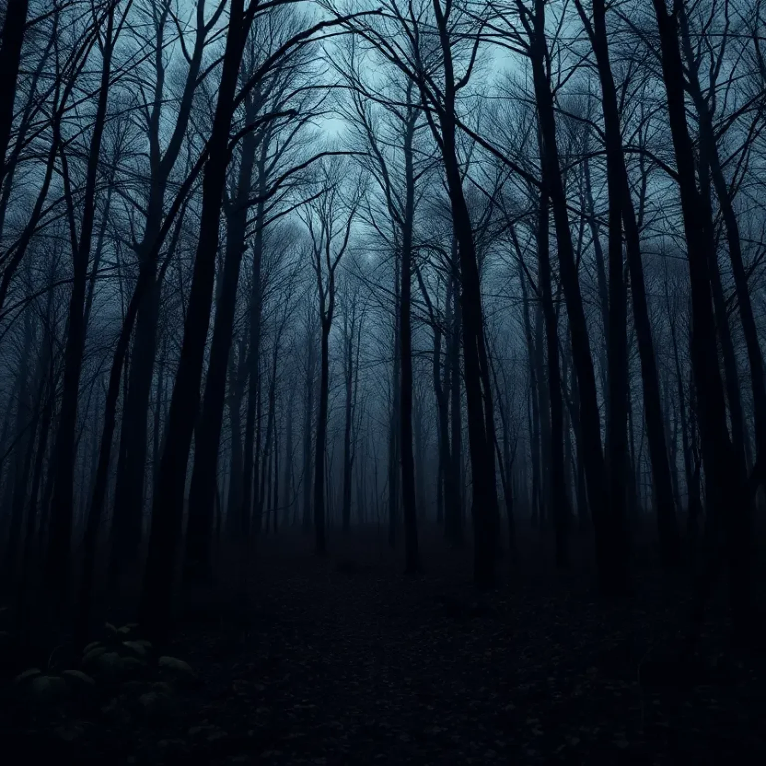 Eerie forest environment representing danger and exploitation