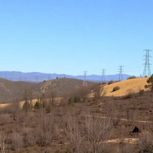 Devastated California landscape from wildfires with utility poles